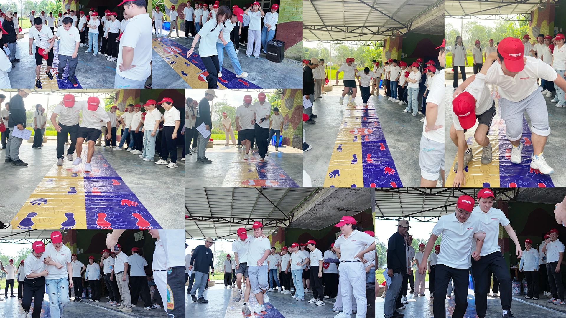 Cooperation among colleagues
