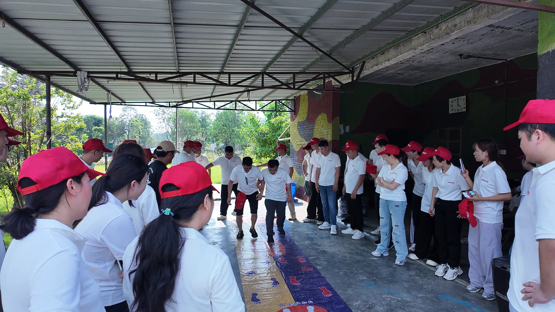 group collaboratio